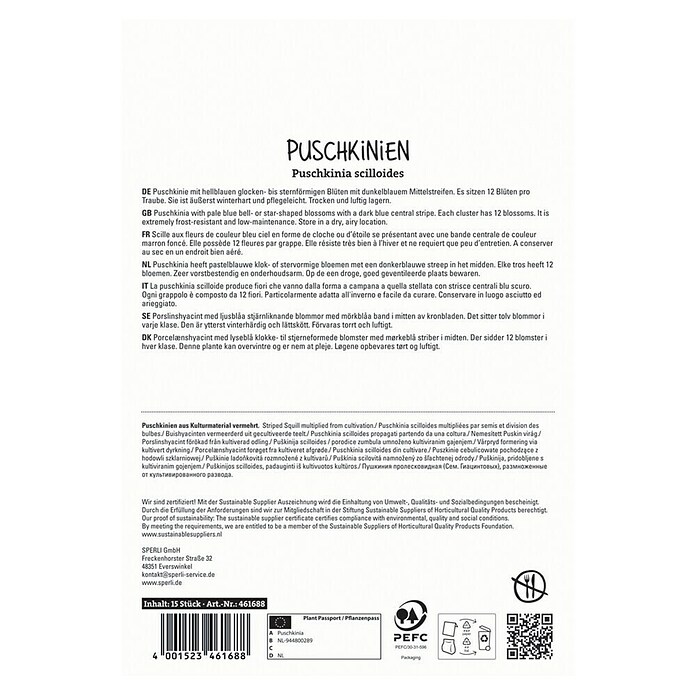 Sperli Blumenzwiebeln Puschkinie (Puschkinia scilloides, Weiß/Hellblau, 15 Stk.) | BAUHAUS