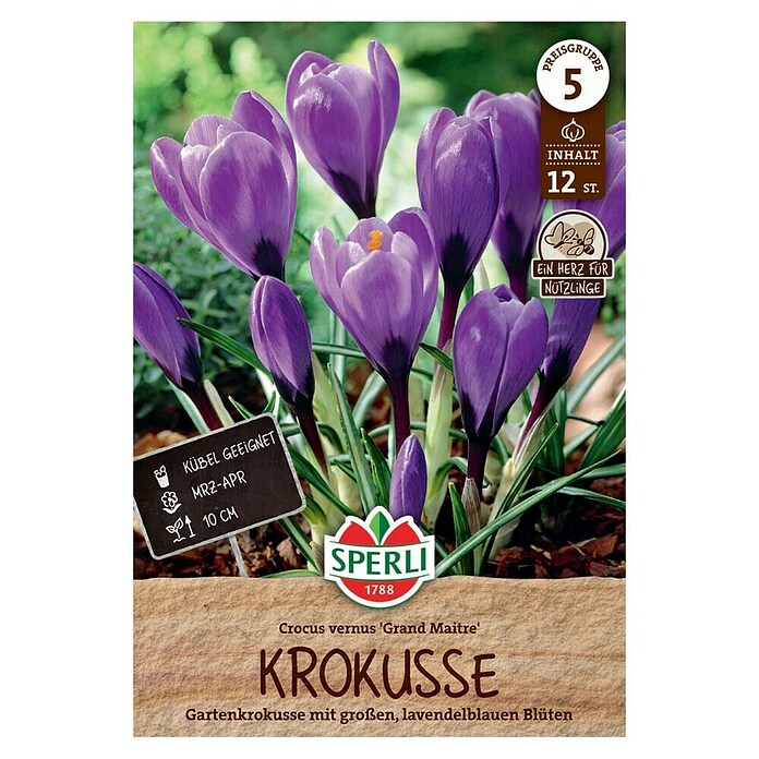 Sperli Blumenzwiebeln Gartenkrokus Grand Maitre (Crocus vernus, Violett/Blau, 12 Stk.) | BAUHAUS