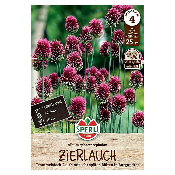 Sperli Blumenzwiebeln Zierlauch sphaerocephalon (Allium sphaerocephalon, Purpurrot, 25 Stk.) | BAUHAUS