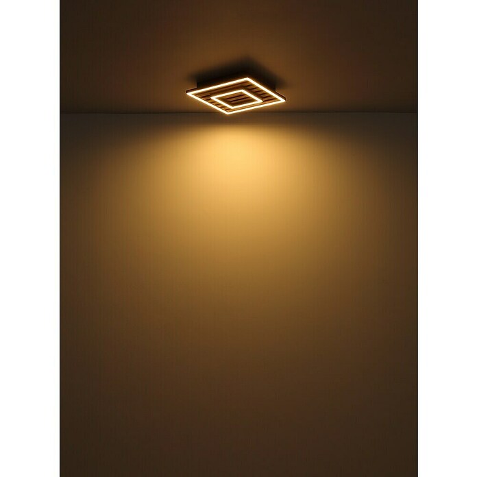 Globo LED stropna svjetiljka Woody  (D x Š x V: 300 x 300 x 60 mm, 18 W, Topla bijela) | BAUHAUS