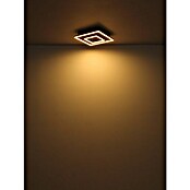 Globo LED stropna svjetiljka Woody  (D x Š x V: 300 x 300 x 60 mm, 18 W, Topla bijela) | BAUHAUS