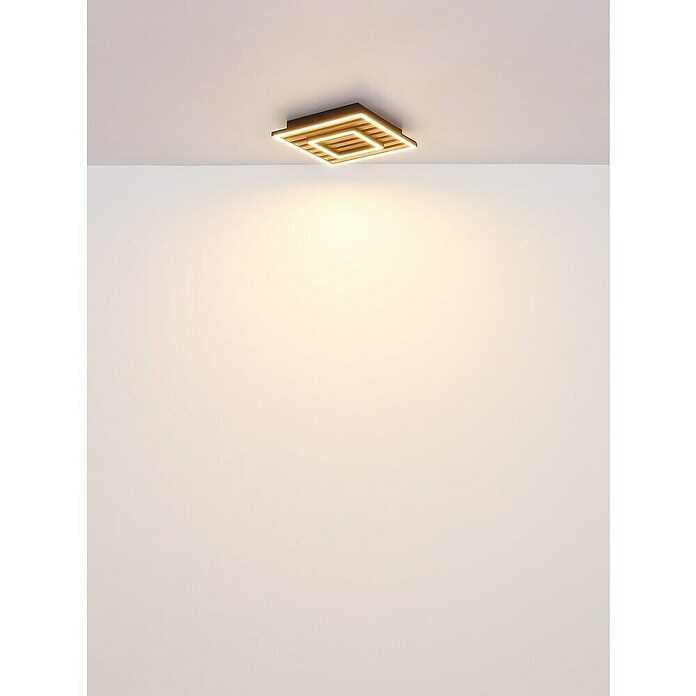 Globo LED stropna svjetiljka Woody  (D x Š x V: 450 x 450 x 60 mm, 36 W, Topla bijela) | BAUHAUS