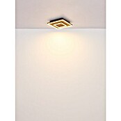 Globo LED stropna svjetiljka Woody  (D x Š x V: 450 x 450 x 60 mm, 36 W, Topla bijela) | BAUHAUS