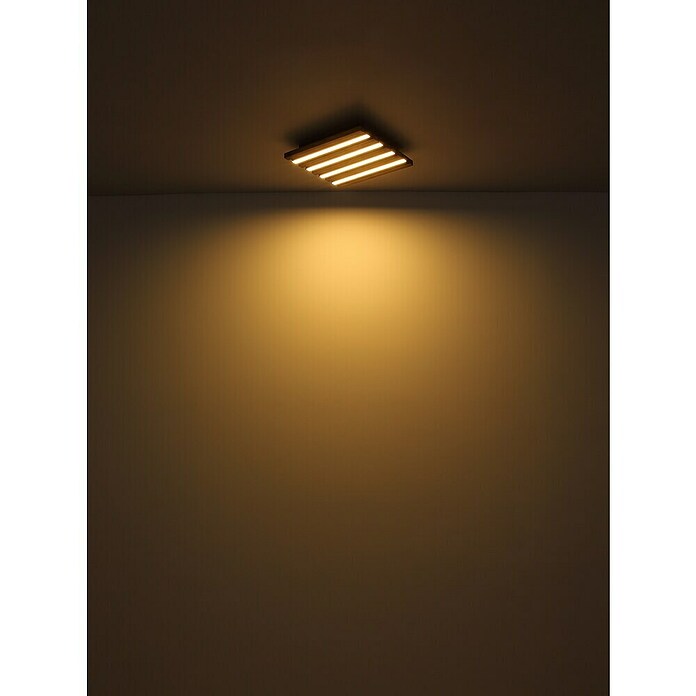 Globo Plafón LED Hayden (15 W, L x An x Al: 30 x 30 x 5 cm, Marrón, Blanco cálido, 800 lm) | BAUHAUS