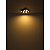 Globo Plafón LED Hayden (15 W, L x An x Al: 30 x 30 x 5 cm, Marrón, Blanco cálido, 800 lm) | BAUHAUS