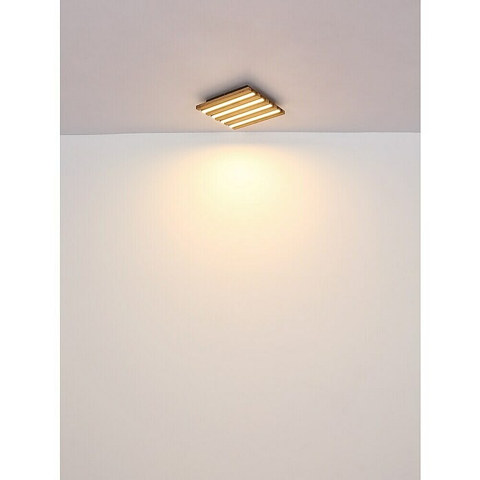 Globo Plafón LED Hayden (15 W, L x An x Al: 30 x 30 x 5 cm, Marrón, Blanco cálido, 800 lm) | BAUHAUS