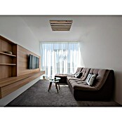 Globo LED stropna svjetiljka Hayden  (30 W, D x Š x V: 45 x 45 x 5 cm, Topla bijela, 1.500 lm) | BAUHAUS