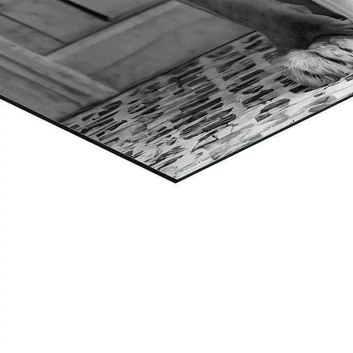 Reinders Holzbild - Lion Toilet, B x H: 40 x 50 cm - Schwarz-Weiß-Poster mit einem Löwen, der sich in der Natur entspannt, ideal für eine minimalistische Dekoration.
