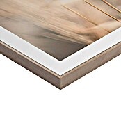 Reinders Bild Slim Frame (Ambient Plumes, B x H: 30 x 40 cm) | BAUHAUS