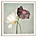 Reinders Bild Slim Frame 