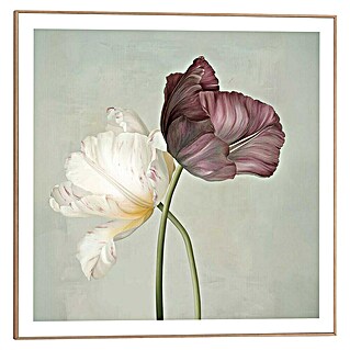 Reinders Bild Slim Frame (Tulip Elegance, B x H: 50 x 50 cm)
