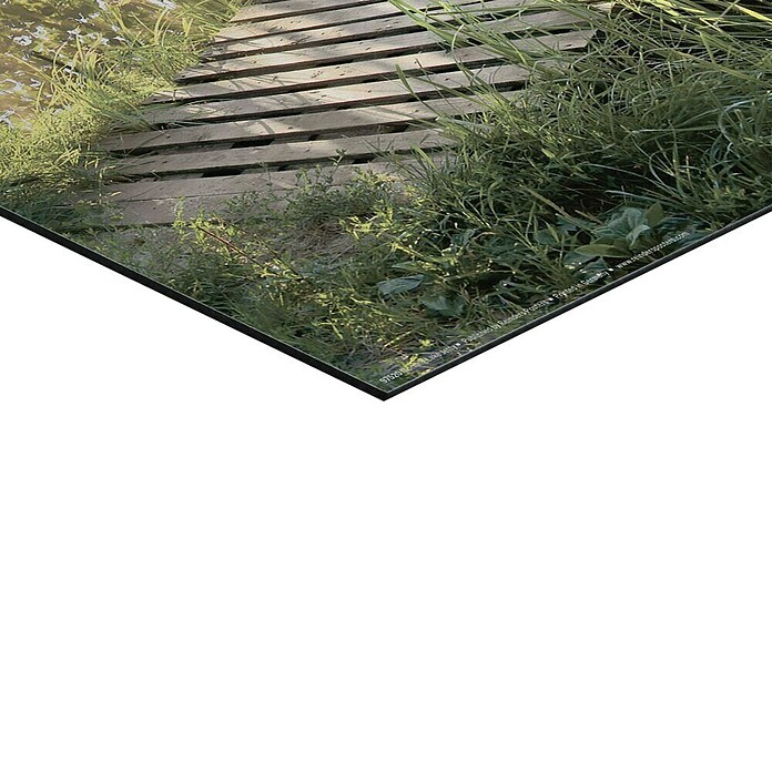 Reinders Holzbild (Morning Lake Jetty, B x H: 40 x 50 cm) | BAUHAUS