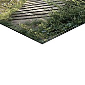 Reinders Holzbild (Morning Lake Jetty, B x H: 40 x 50 cm) | BAUHAUS