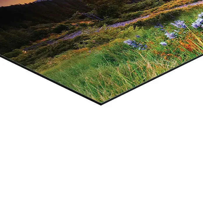 Reinders Holzbild - Swiss Mountains, B x H: 90 x 30 cm - Detailaufnahme von Gräsern und blauen Blumen auf einer sonnigen Bergwiese, die die natürliche Schönheit und Ruhe der Landschaft hervorhebt.
