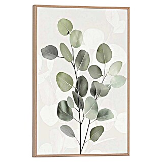 Reinders Bild Slim Frame (Eucalyptus Still, B x H: 20 x 30 cm)
