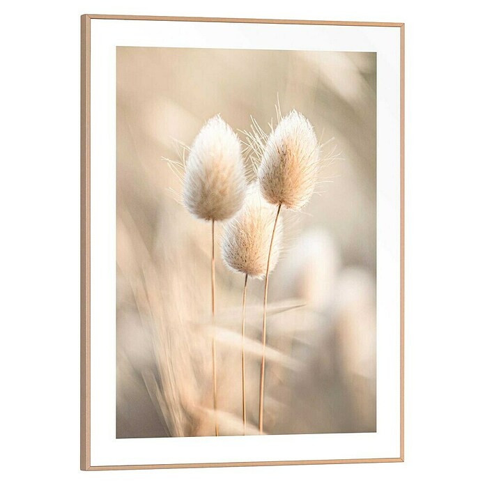 Reinders Bild Slim Frame (Ambient Plumes, B x H: 30 x 40 cm) | BAUHAUS