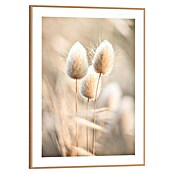 Reinders Bild Slim Frame (Ambient Plumes, B x H: 30 x 40 cm) | BAUHAUS