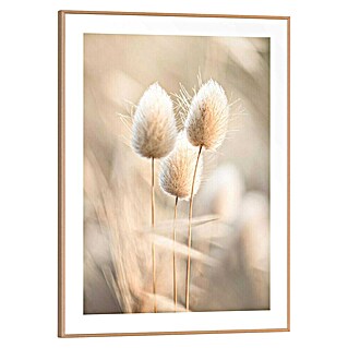 Reinders Bild Slim Frame (Ambient Plumes, B x H: 30 x 40 cm)