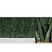 Zaštita od pogleda Hidenatur Plus  (3 x 1,5 m, PVC) | BAUHAUS