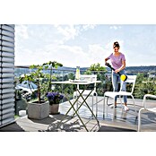 Kärcher Universalreiniger RM 555 (5 l)