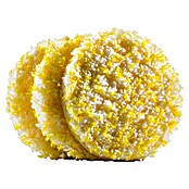Kärcher Almohadilla pulidora para piedra o PVC (Apto para: PVC, Específico para: Pulidora de suelos Kärcher FP 303, 3 uds.)