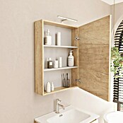 Artysan Armario con espejo LED Loft (An x Al: 60 x 80 cm, Nature, Con iluminación, Número de puertas: 1 ud.) | BAUHAUS