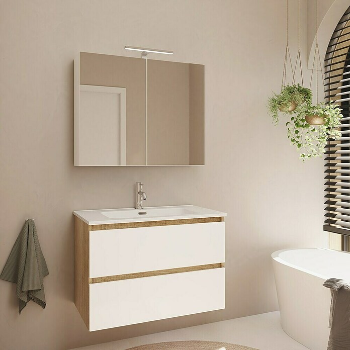Artysan Armario con espejo LED Loft (An x Al: 65 x 80 cm, Blanco, Con iluminación, Número de puertas: 2 ud.) | BAUHAUS