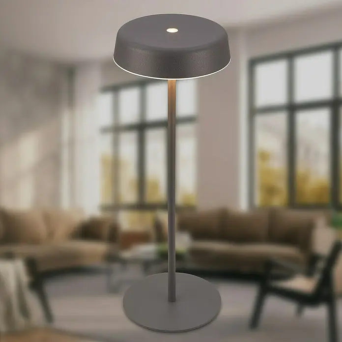 Brilo Akku-Tischleuchte Pala - Ø x H: 13 x 36,5 cm, Anthrazit, Warmweiß, 2,6 W, IP44 - Eine moderne Stehlampe mit einem runden Lampenschirm und einem schlanken Ständer, perfekt für stilvolle Beleuchtung im Wohnraum.