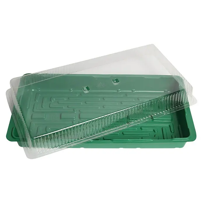 Floraworld Zimmergewächshaus - L x B x H: 57 x 30 x 14 cm, Grün, Ohne Quelltabletten - Ein grüner Pflanzkasten mit durchsichtigem Deckel, ideal für die Anzucht von Setzlingen und Pflanzen.