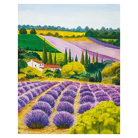 Glööckler Pompöös Provence Fototapete Malerische Lavendelfelder