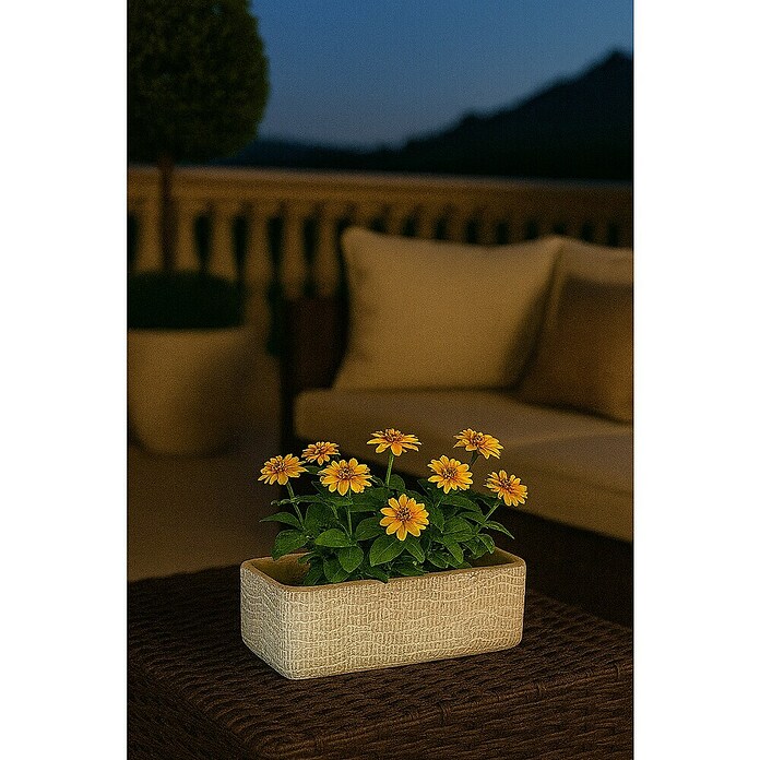 Macetero para plantas Siria (Dimensiones externas (L x An x Al): 28 x 14 x 10 cm, Hormigón, Gris claro) | BAUHAUS