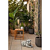 Figura decorativa Bulldog acostado (L x An x Al: 27 x 15 x 18 cm, Ceniza, Piedra artificial) | BAUHAUS