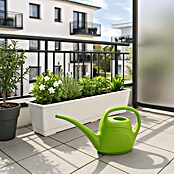 Geli Eden Gießkanne (Mintgrün, 2 l)