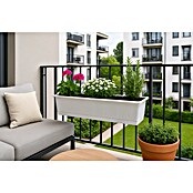 Geli Standard Jardinera para balcón (Largo: 60 cm, Blanco)
