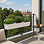 Geli Standard Jardinera para balcón (Largo: 100 cm, Blanco)