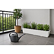Geli Eden Regadera (Antracita, 2 l)