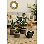 A.H.G. Košara za rastline Arlen  (Zunanje dimenzije (Ø x V): 25 x 25 cm, Plastika) | 8474 - Korbgefässe | IAKA - Gefäße Indoor | IAK - Gefässe,Deko outdoor, Zeitschriften | IA - Gartenhartware | I - Stadtgarten | BAUHAUS