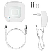 Homematic IP Centro de control Access Point 2 (L x An x Al: 10,4 x 10,4 x 4 cm) | BAUHAUS