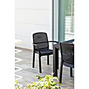 Gartensessel Sirolo (Schwarz, Kunststoff, L x B x H: 58 x 56,5 x 84 cm) | BAUHAUS