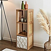 Home Deco Factory Bali Estantería de madera (L x An x Al: 32 x 31 x 99 cm, Marrón, Con ratán trenzado) | BAUHAUS