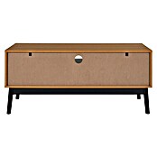 Home Deco Factory Felix Mueble para TV (L x An x Al: 40 x 110 x 48 cm, MDF, Acabado en espiga) | BAUHAUS