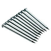 Proair Žeblji  (Dolžina: 30 mm, 1.000 kos) | 2593 - Allgemeines Kompr zubeh/Filter/Druckmind/Kupp | BCDG - Zubehör Druckluft | BCD - Maschinenzubehör | BC - Maschinenzubehör | B - Werkz/Masch/Maschzubeh/Auto | BAUHAUS