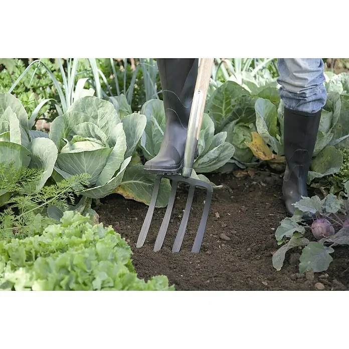 Spatengabel - Arbeitsbreite: 17 cm, Anzahl Zinken: 4, T-Stiel - Nahaufnahme einer Person, die eine Grabegabel im Garten benutzt, um den Boden für die Aussaat vorzubereiten.