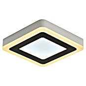 Panaled Katto Plafón LED (50 W, Blanco, Blanco cálido) | BAUHAUS