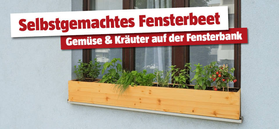 Selbstgemachtes Fensterbeet aus Holz auf der Fensterbank, Titel Selbgstgemachtes Fensterbeet