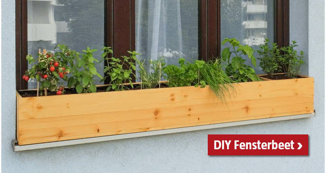 Selbstgemachtes Fensterbeet aus Holz, mit Gemüse und Kräutern bepflanzt