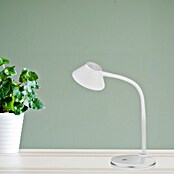Reality Leuchten Lámpara de sobremesa LED (3,2 W, Blanco, Altura: 33 cm)