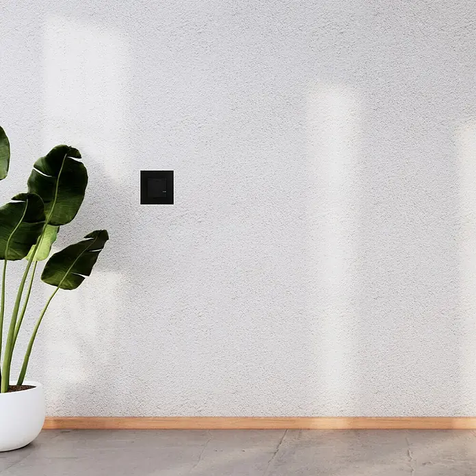 Legrand Valena Next with Netatmo Conmutador Iluminado - Negro, Satinado, Montaje en la pared - Primer plano de una toma de corriente cuadrada negra sobre una pared blanca en una habitación, acentuada por una planta de interior.