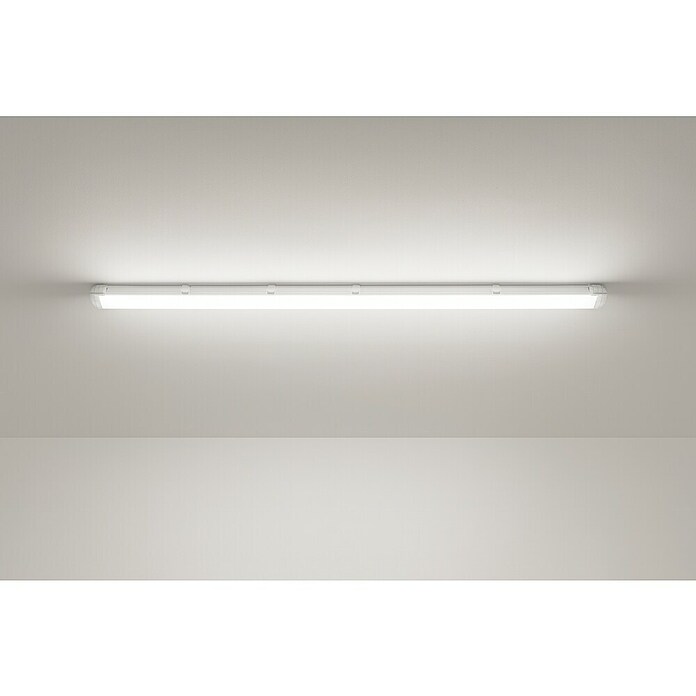 Eglo Svetilka za vlažne prostore Basic  (30 W, Siva, Nevtralno bela, 126 cm, 9,9 cm) | 3095 - Kellerlicht | CAKA - Zweckleuchten | CAK - Technisches Licht | CA - Beleuchtung | C - Elektro | BAUHAUS