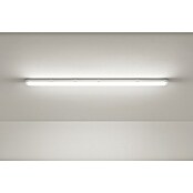 Eglo Svetilka za vlažne prostore Basic  (30 W, Siva, Nevtralno bela, 126 cm, 9,9 cm) | 3095 - Kellerlicht | CAKA - Zweckleuchten | CAK - Technisches Licht | CA - Beleuchtung | C - Elektro | BAUHAUS